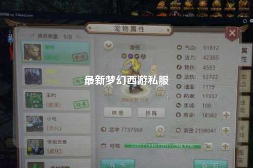 最新梦幻西游私服